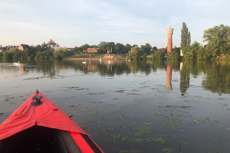Excursion en kayak à Ladenburg sur le Neckar