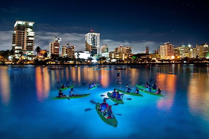 Visite nocturne en kayak à LED dans la lagune de Condado