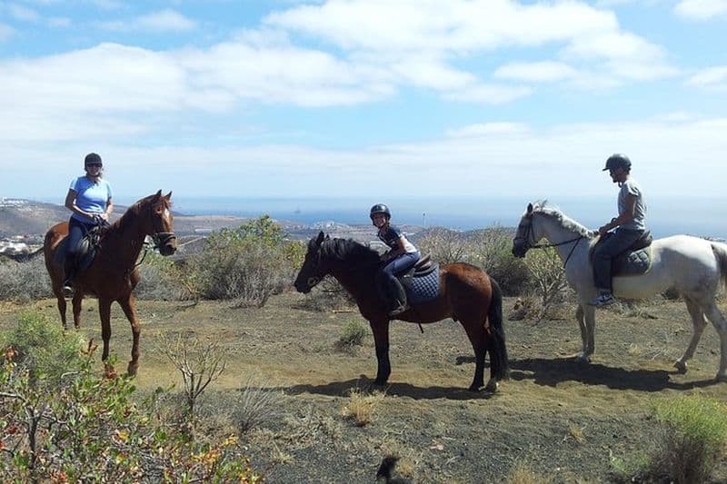 Balade à cheval relaxante à Gran Canaria