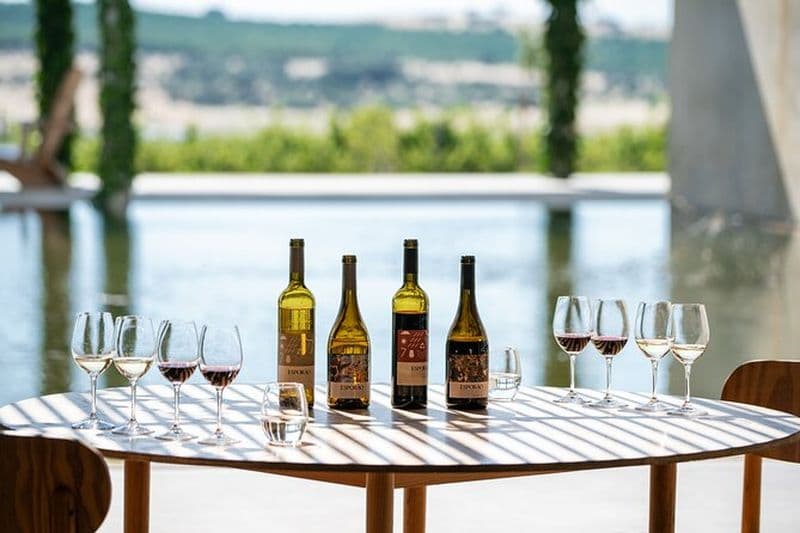 Excursion d'une journée autour des vins d'Évora