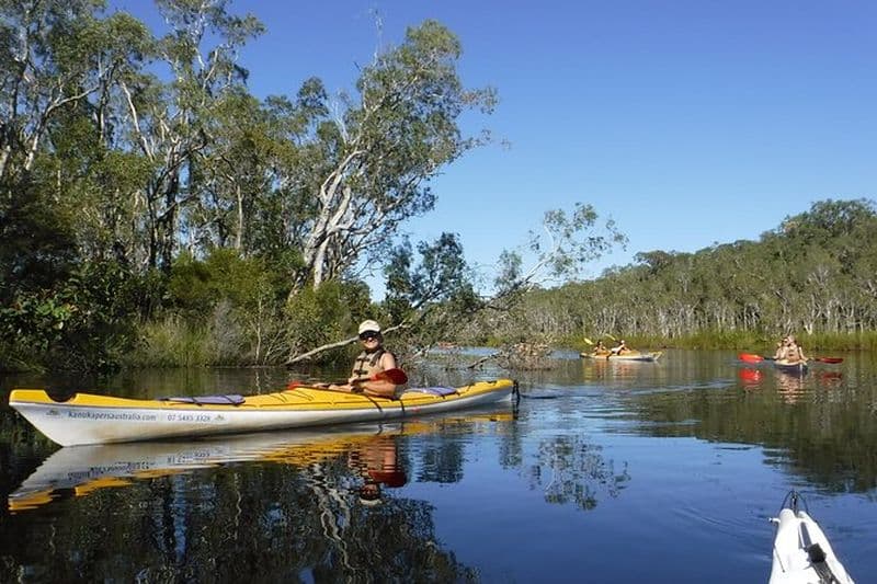 Visite autoguidée des Everglades de Noosa en Kayak