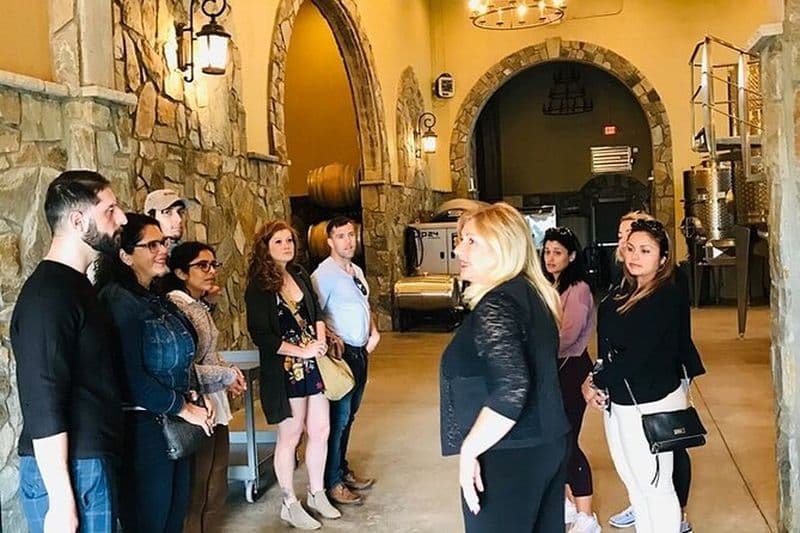 Visite guidée des vignobles de Virginie et dégustations au départ de Washington DC