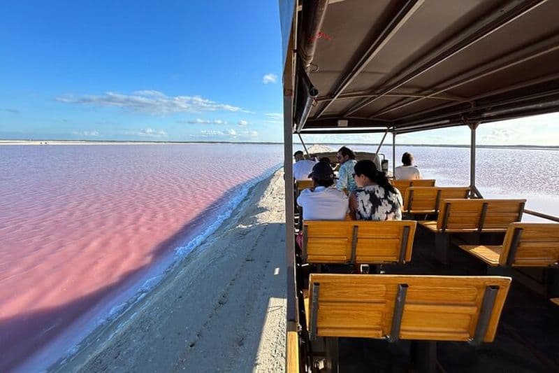 Billet d'entrée au safari dans les lagons roses de Las Coloradas