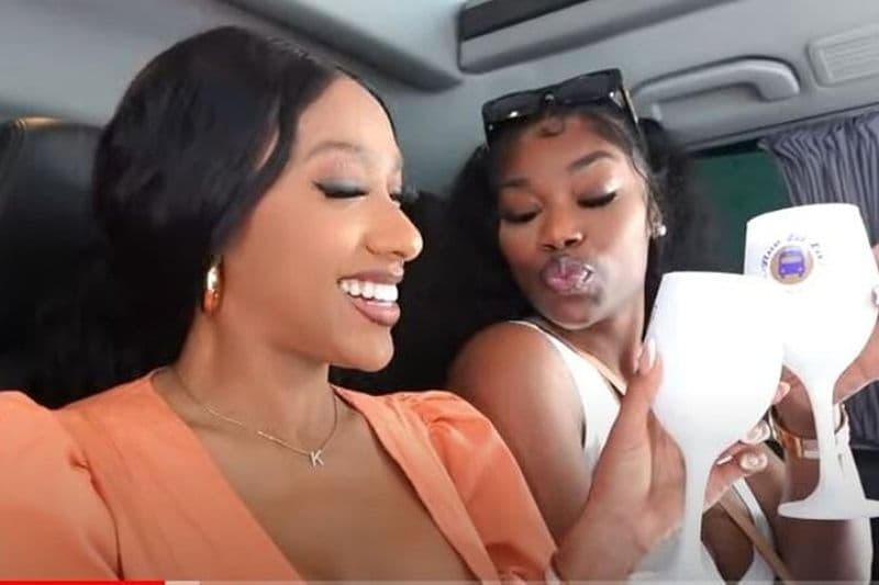 Visite privée de vins de luxe d'Atlanta à North Georgia Vineyards