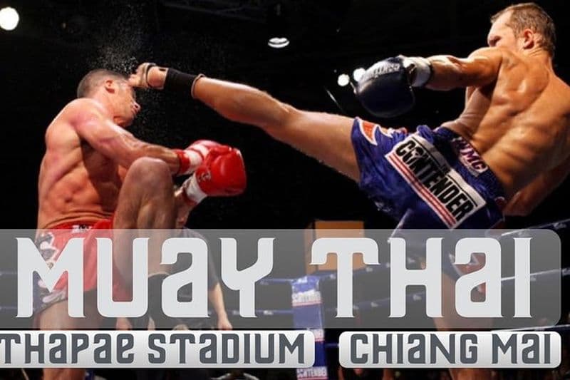 Thapae Stadium Muay Thai Boxing Experience – Chiang Mai