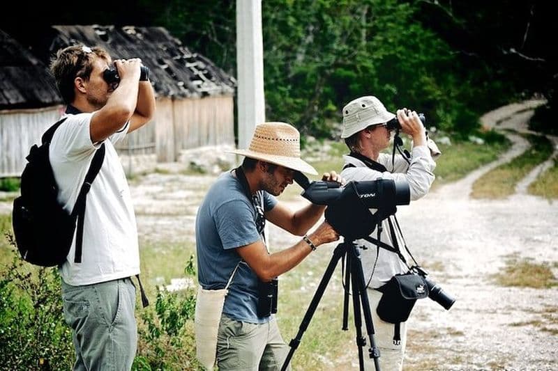 Observation des oiseaux à Sian Ka ́an Muyil depuis Tulum - Visite en groupe partagée