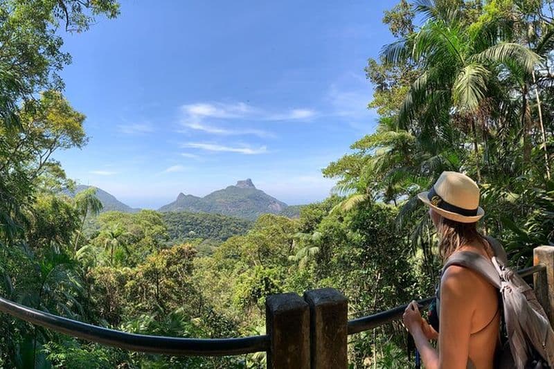 Billet Tijuca Forest Hike - Cascades & Grottes, Nature & Vie sauvage!