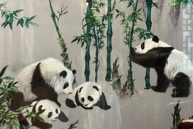 Visite privée d'une journée à Chengdu Shu Brocade Broderie Exploration