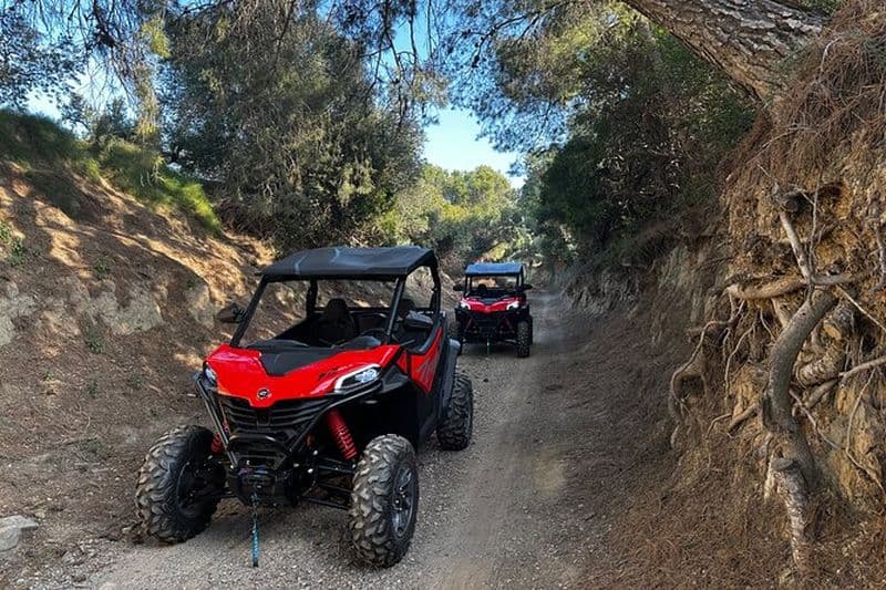 Safari En Buggy À Salou, Catalogne
