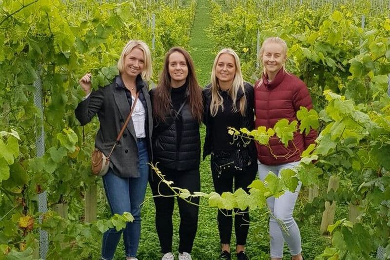Visite du vignoble des propriétaires et dégustation à Oastbrook