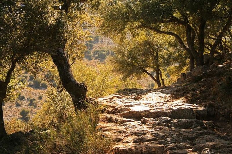 Billet Road-trip à Lasithi, Zeus Cave, Vidiani, Krasi & Olive Mill Farm