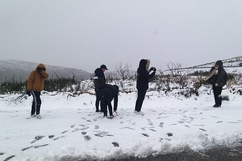 Visite privée du parc Serra da Estrela et de son célèbre fromage