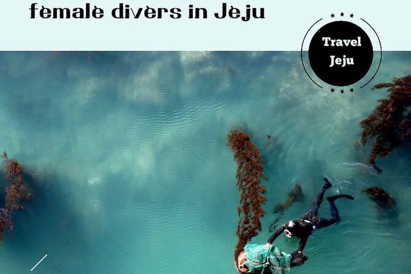 Expérience Haenyeo Diving : plongeuses à Jeju