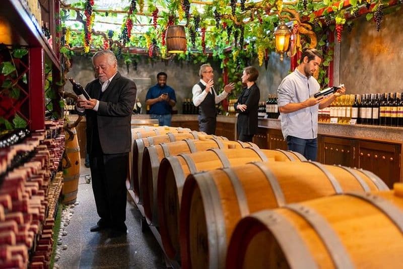 Visite privée d'une journée complète des vins de Colonia Caroya au départ de Cordoue