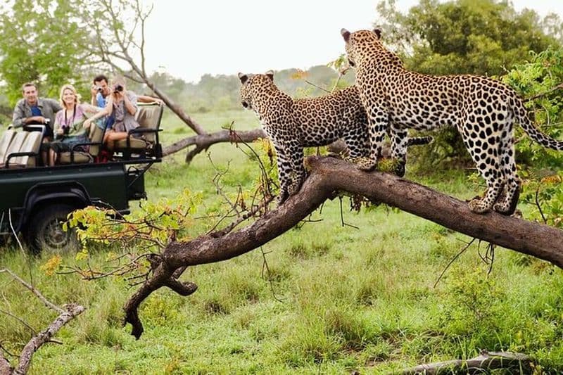 Kruger National Pk & Blyde River Canyon 4Day Tour FR Johannesburg