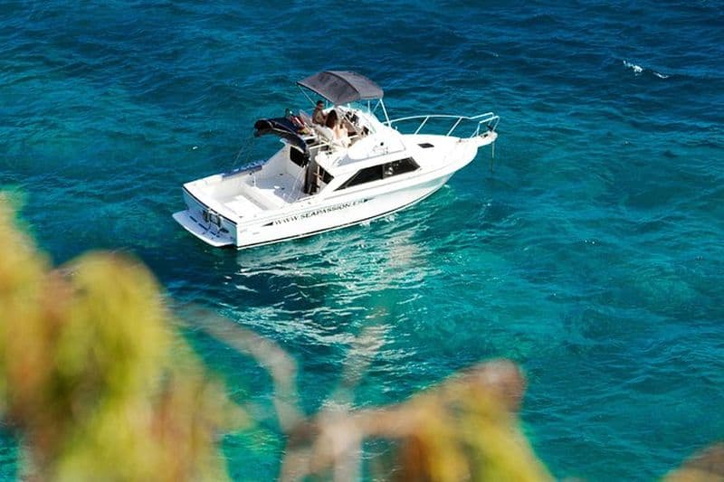 Voyage de pêche, Tenerife Sea Passion