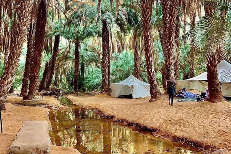 Adrar & Banc d'Arguin 10 - Excursion d'une journée