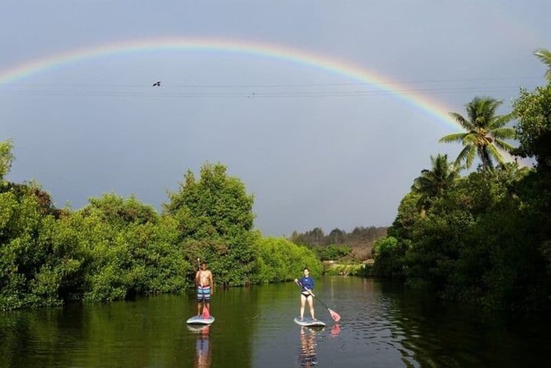 Stand Up Paddle Nature et Tortues - Voir les tortues garanties