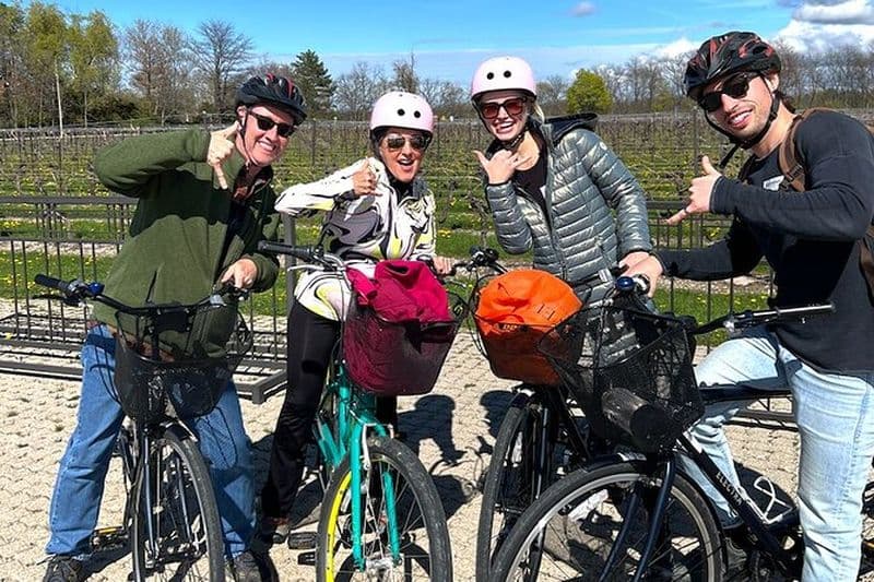Excursion balade à vélo et dégustation de vin à Niagara-on-the-Lake avec déjeuner en option
