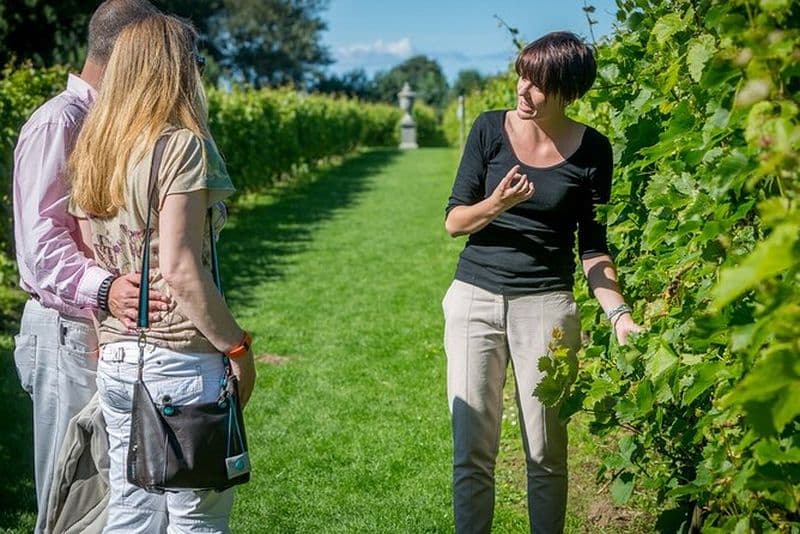 Visite des vins de Beaune - Dégustation de vins incluse - Guide professionnel !