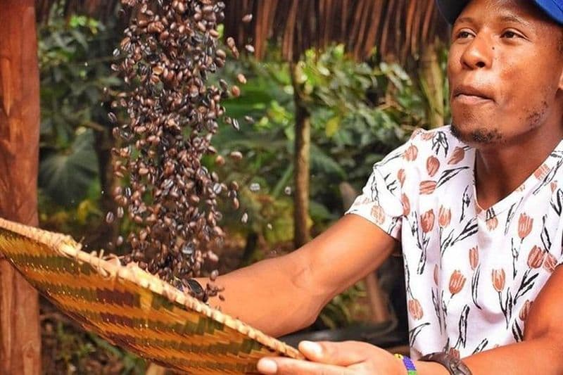 Excursion d'une journée aux chutes de Materuni (visite du café et de la nourriture) avec la source chaude de Kikuletwa