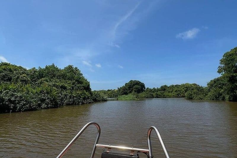 Excursion en bateau d'observation des oiseaux de la lagune de Negombo et Muthurjawela