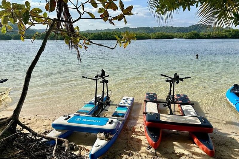 Siargao Sunset Paddle Board et Firefly Watching