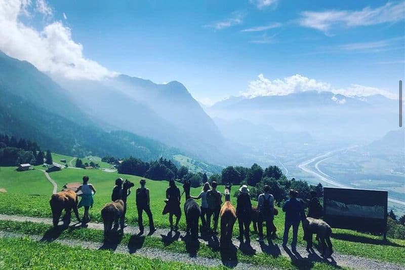 Randonnée avec des lamas et un délicieux barbecue au milieu de la forêt