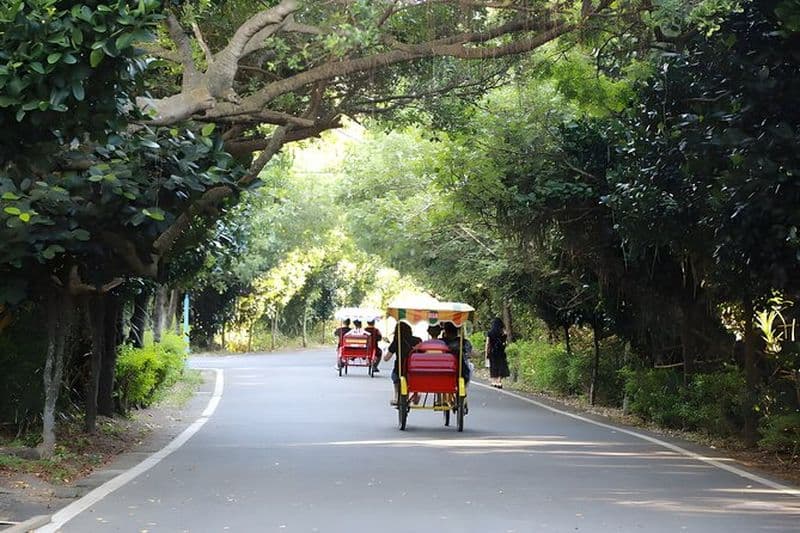 Excursion d'une journée sur la côte de Taipei à vélo Railbike et Ginger SPA