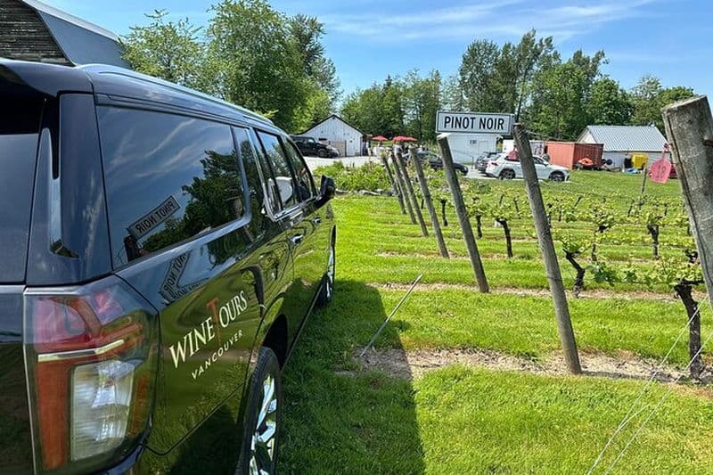 Visite privée des vins du goût de la vallée