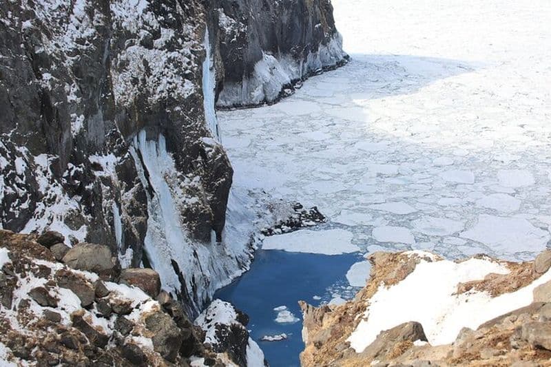 Randonnée en raquettes de 3,5 heures dans la forêt vierge et excursion d'observation de la faune