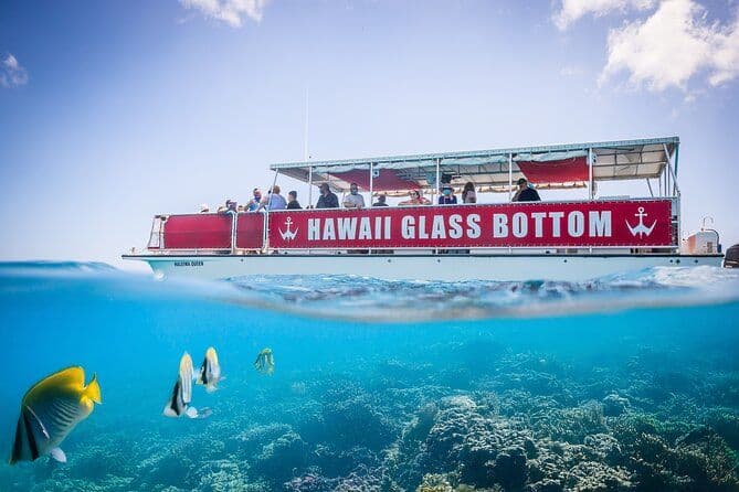 Croisière en bateau à fond de verre à Waikiki