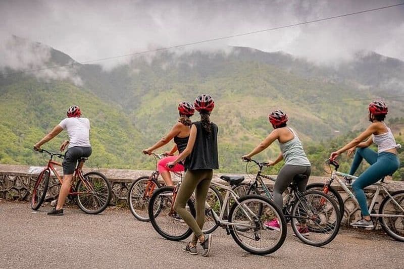 Aventure exotique d'une journée à vélo sur Blue Mountain