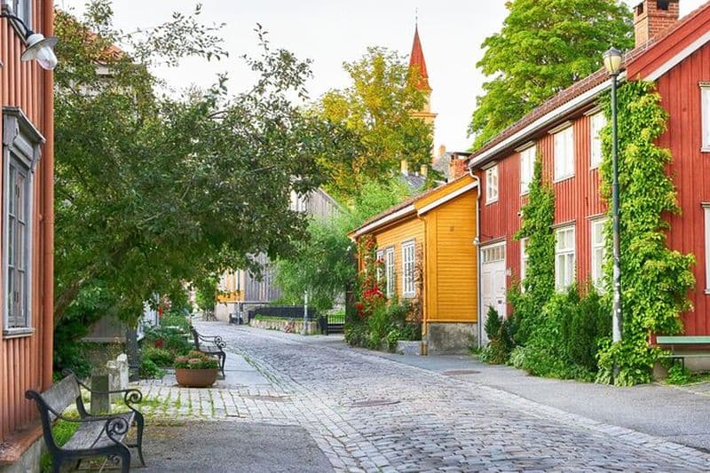 Visite guidée privée à pied de 3 heures à Trondheim