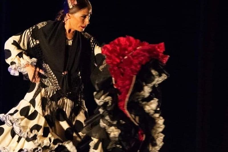 Château de Santa Barbara et spectacle de flamenco avec transferts depuis Alicante