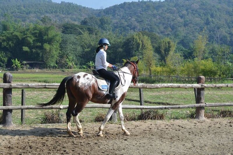 Leçon de cheval + équitation + temple en bois Wat Tonkwen.Chiangmai