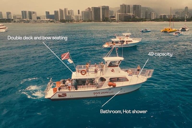 Turtle Canyon Waikiki Snorkel Aventure