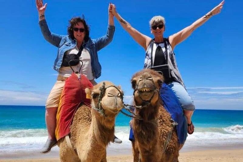 Visite privée de luxe avec ramassage depuis un bateau de croisière All Inclusive