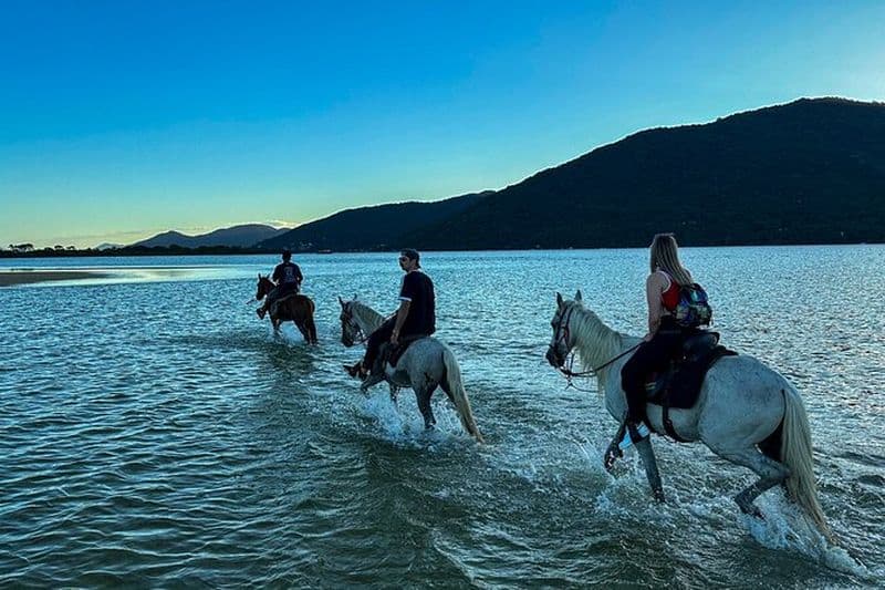 Florianópolis Équitation dans des paysages uniques