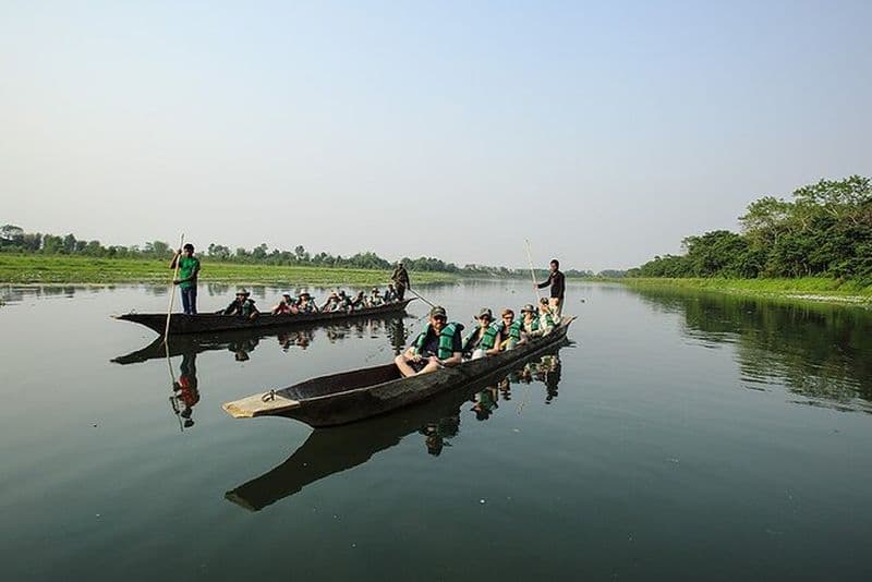 Observation des oiseaux avec visite au canon dans le parc national de Chitwan