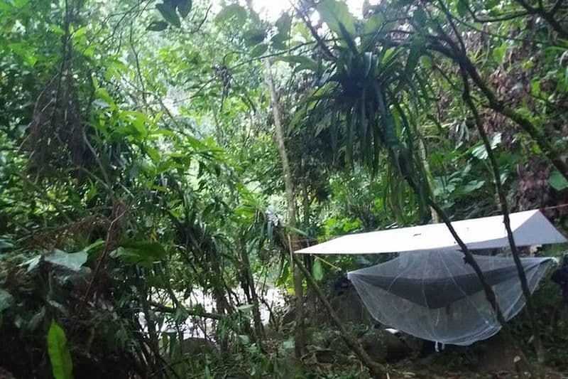 Stage de Survie et Vie Nature de 2 Jours en Forêt à Luang Prabang