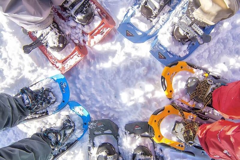 Randonnée raquettes à Chamonix, avec un guide privatif