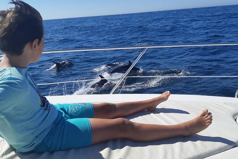 2 heures d'observation des dauphins à Marbella