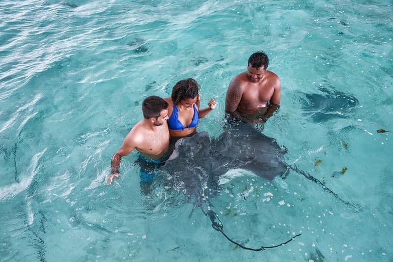 Eco Safari Raies et Requins, Jardin de corail à Bora Bora