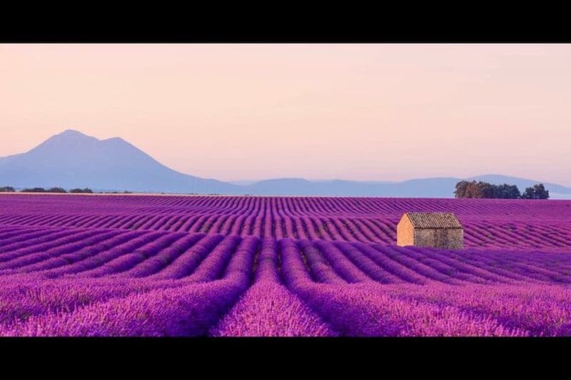 Lavande - Verdon Canyon - Castellane - Moustier - Petit Groupe