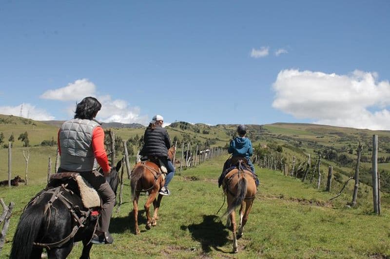 Roses et équitation (excursion privée d'une journée au départ de Quito)