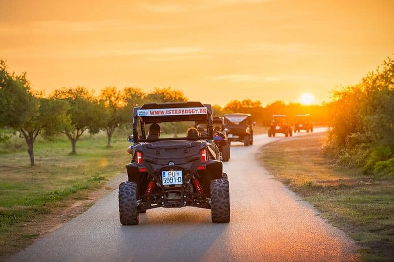 Visite guidée en buggy de 2 heures de Fazana à Bale avec des guides locaux