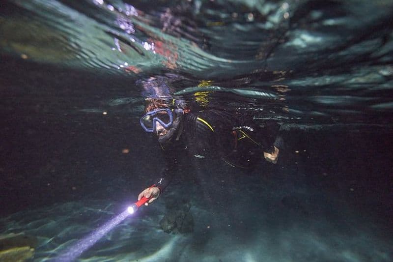 Snorkeling de nuit