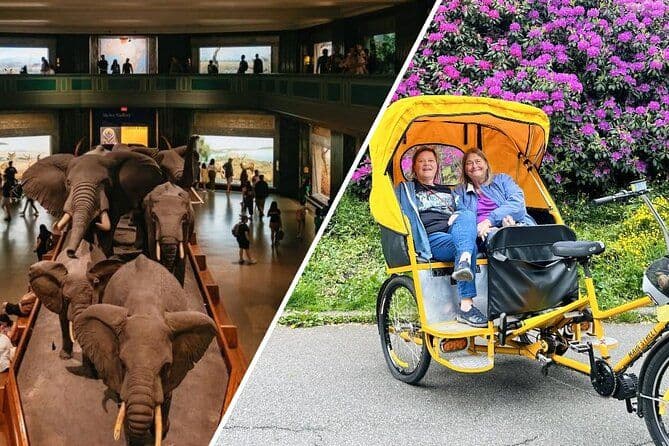 Visite de Central Park Pedicab avec accès au musée d'histoire naturelle