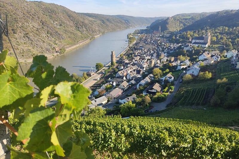 Excursion privée d'une journée dans la vallée romantique du Rhin avec croisière fluviale et dégustation de vin